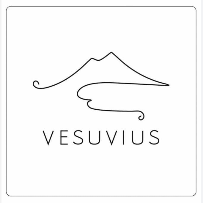 Vesuvius A Mezzocannone Nápoles Exterior foto